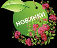 Новинки