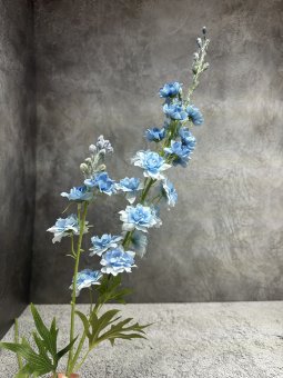 Дельфиниум Д 1798-5 Дельфиниум Д 1798-5