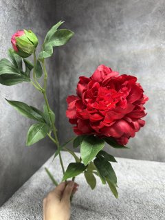 Ветка пиона Вп 1222-3 Ветка пиона Вп 1222-3