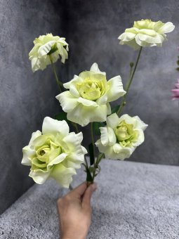 Ветка розы ВР 272-5 Ветка розы ВР 272-5